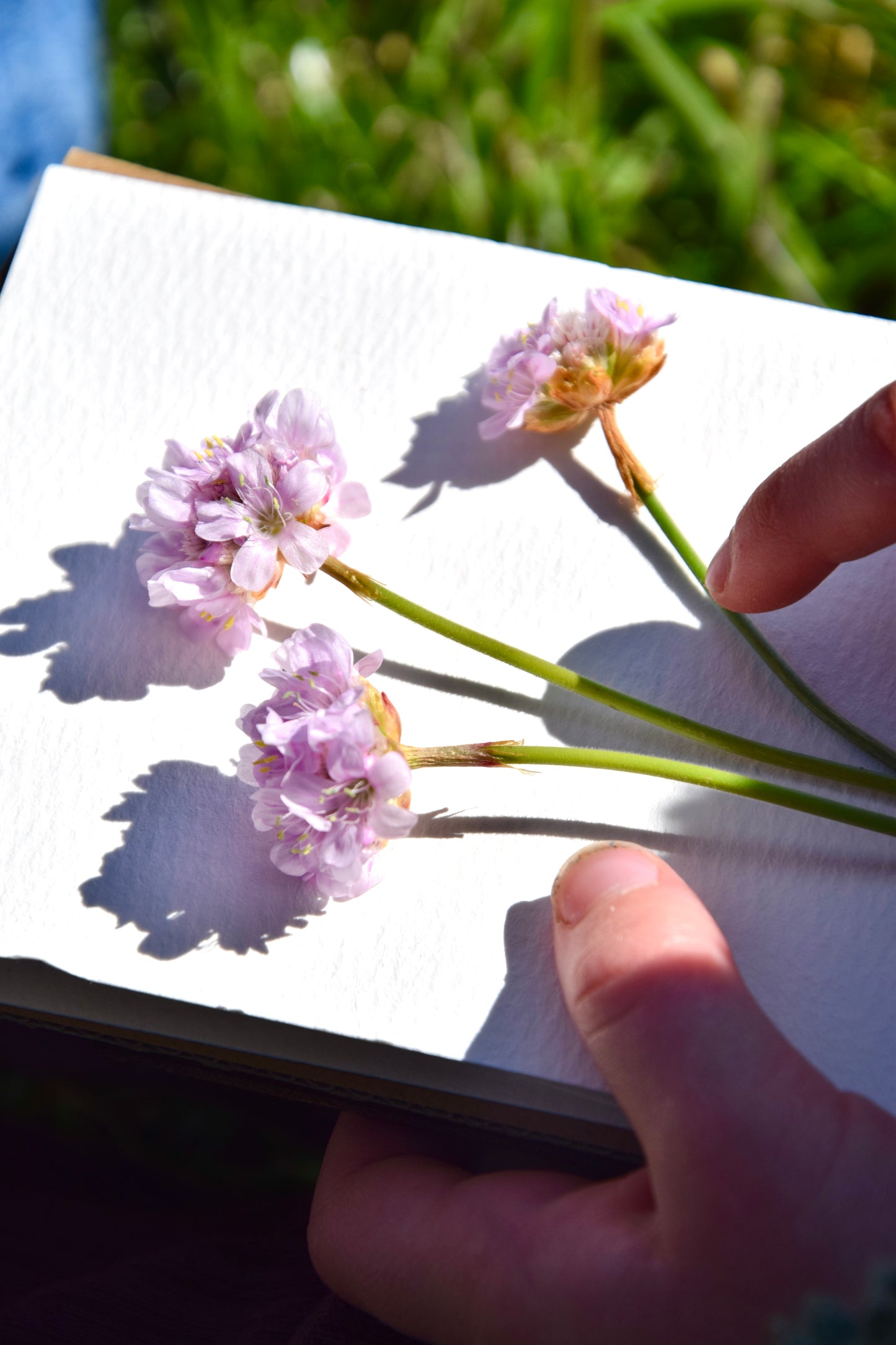 Flower Press