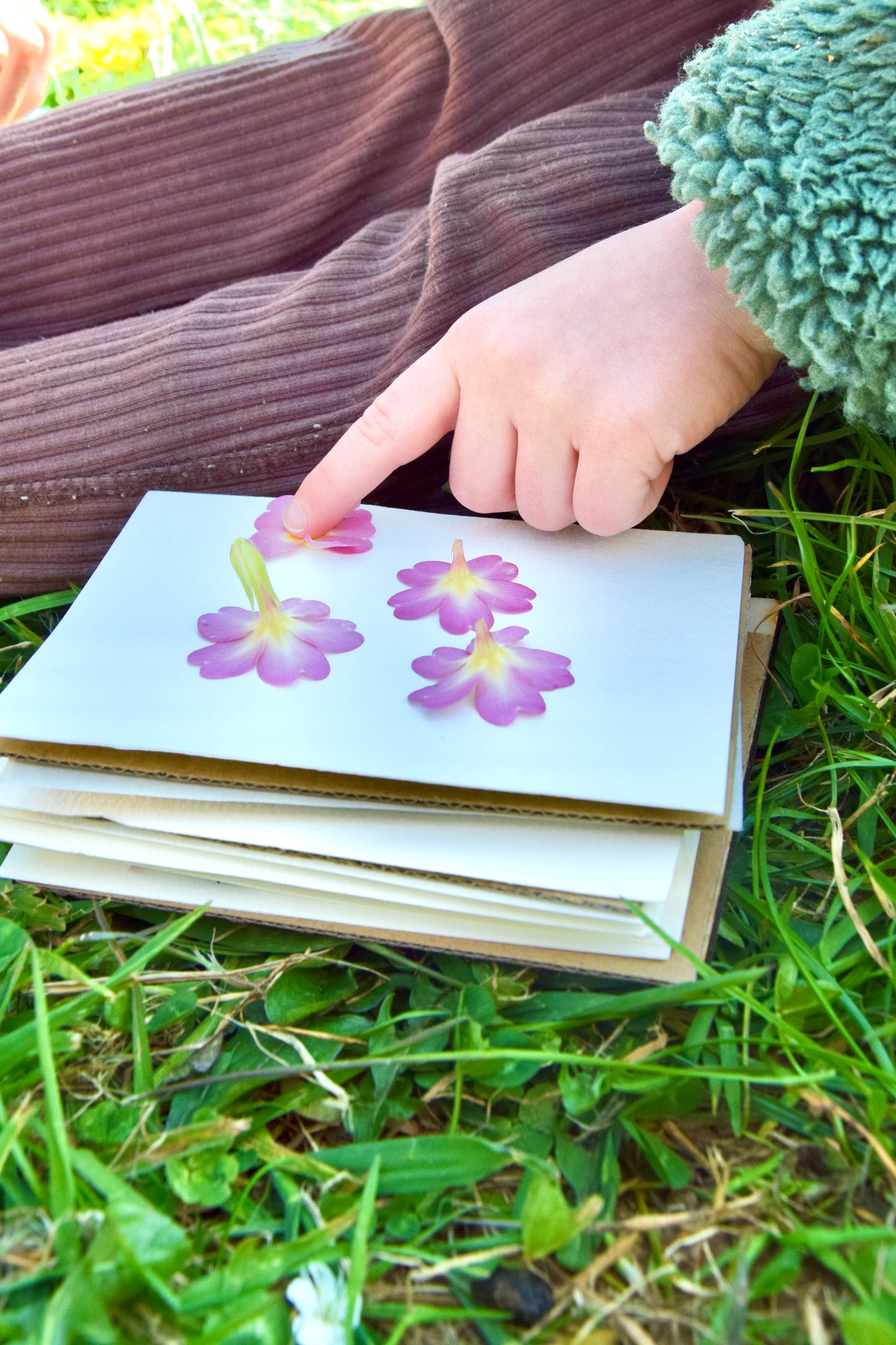 Flower Press